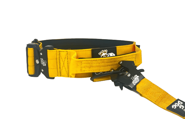 tactical-collar-and-lead-set- yellow